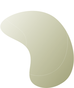 https://studyabroader.com/wp-content/uploads/2020/08/floating_image_08.png
